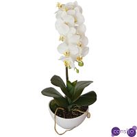 Искусственная орхидея Anthyra Darwin