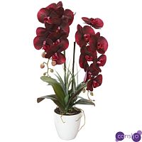 Искусственная орхидея Мультифлора burgundy