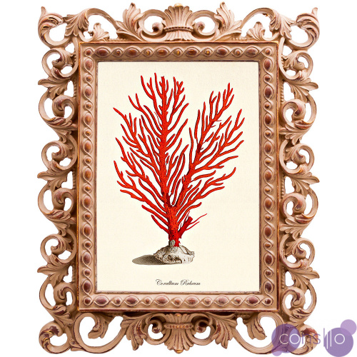 Постер Red Coral Poster 1