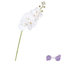 Декоративный искусственный цветок Average White Orchid