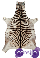 Натуральная шкура зебры Burchellii