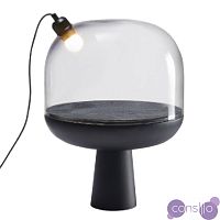 Настольная лампа Curiosity object lamp без наполнения designed by Gaelle Gabillet and Stephane Villard