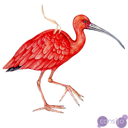 Арт-объект Scarlet Ibis