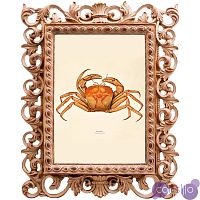 Постер Ocher Crab Poster