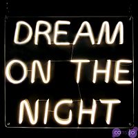 Неоновая настенная лампа Dream On The Night Neon Wall Lamp