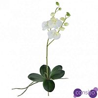 Декоративный искусственный цветок Phalaenopsis