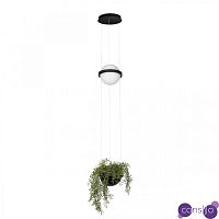Подвесной светильник c чашей для живых растений Palma by Vibia
