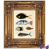Постер в раме из натурального дерева Fishes 3