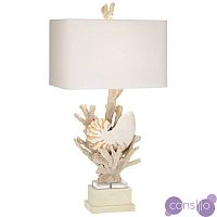 Nautilus Shell and White Coral Table Lamp