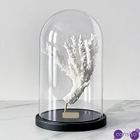 Статуэтка Natural Coral Branch Glass Cloche