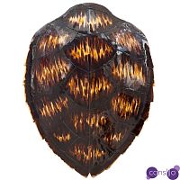 Аксессуар Turtle Shell Motley Natural