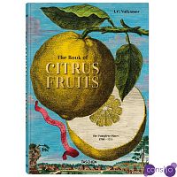 Volkamer Citrus Fruits