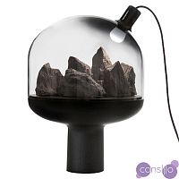 Настольная лампа Curiosity object lamp designed by Gaelle Gabillet and Stephane Villard