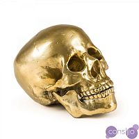 Статуэтка Seletti Wunderkrammer Human Skull