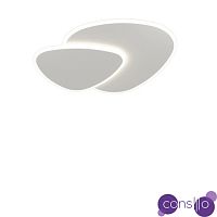 Потолочный дизайнерский светильник Freeze by Light Room