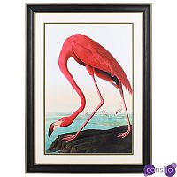 Постер Red Flamingo