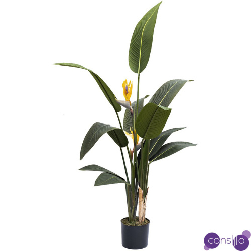 Искусственная Strelitzia Reginae