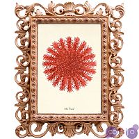 Постер Red Sea Urchin