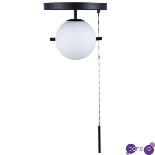 Потолочный светильник Alston black
