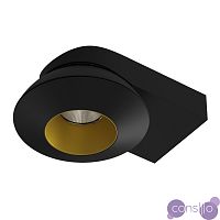 Накладной светодиодный светильник LeDron KRIS SLIM Black Gold