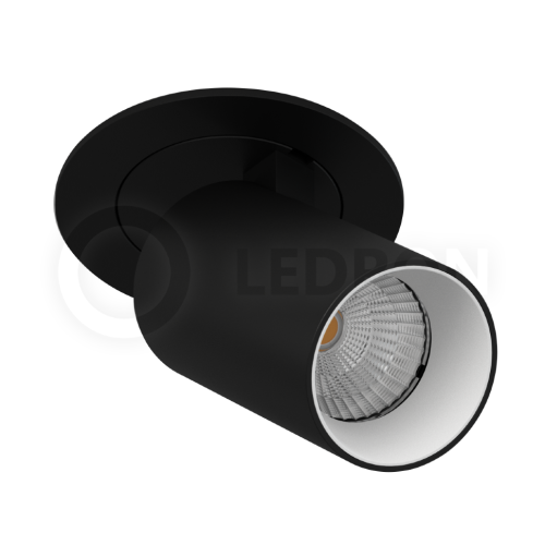 Встраиваемый поворотный светильник LeDron DANNY MINI S 40 Black-White