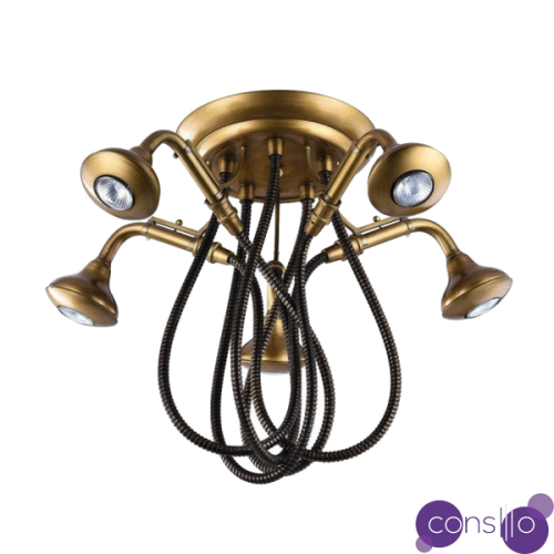 Потолочный светильник Octopus Hose Pendant