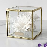Статуэтка Natural Coral Glass Box S