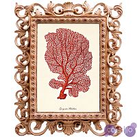 Постер Red Coral Poster 5