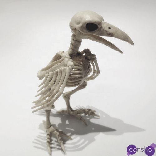 Статуэтка Crow Skeleton