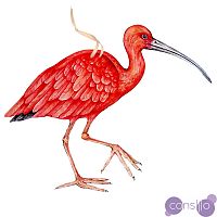 Арт-объект Scarlet Ibis