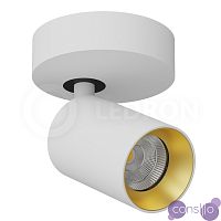 Накладной светодиодный светильник LeDron SAGITONY-R60-White-Gold