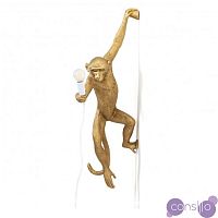 Настенный светильник светильник копия Monkey by Seletti (золотой)