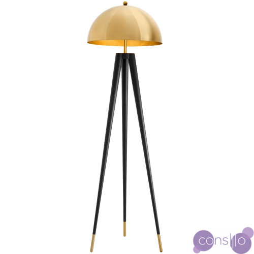 Торшер Eichholtz Floor Lamp Coyote