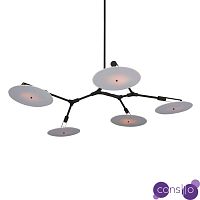Потолочный дизайнерский светильник Branching Discs by Lindsey Adelman (5 плафонов, черный)