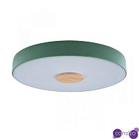 Потолочный светильник Wooden Wheels Green диаметр 40