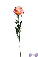 Роза нежно-розовая 8J-11GS0069-2