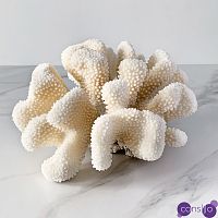 Статуэтка White Cauliflower Coral