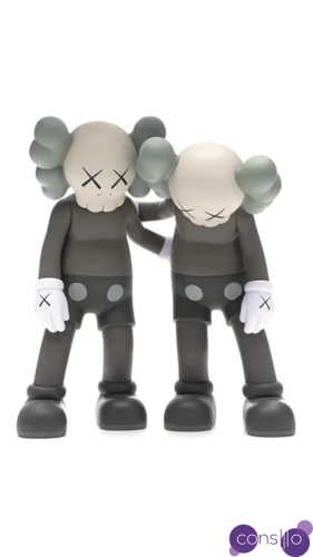 Kaws Along Brown
