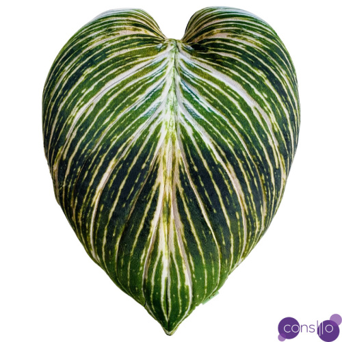 Декоративная подушка Botanical Cushion Philodendron Birkin