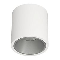 Светильник накладной RINBOK White/Grey Ledron не поворотный LED