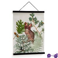 Постер Poster of Plants & Birds сова