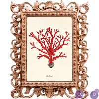 Постер Red Coral Poster 2