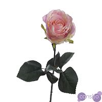 Роза нежно-розовая 8J-1211S0003