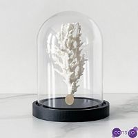 Статуэтка White Coral Glass Cloche