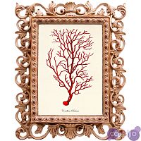 Постер Red Coral Poster 4
