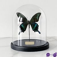 Статуэтка Butterfly Sailboat Maaka Glass Cloche