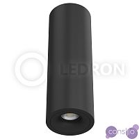 Накладной светильник LeDron MJ 1027GB BLACK 300mm