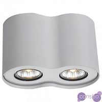 Точечный накладной светильник Scopular Spot Dual White