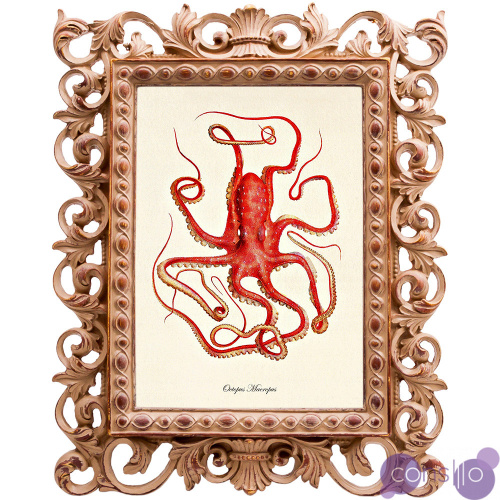 Постер Red Squid Poster