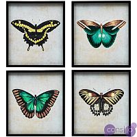 Комплект из 4-х постеров Большие Бабочки